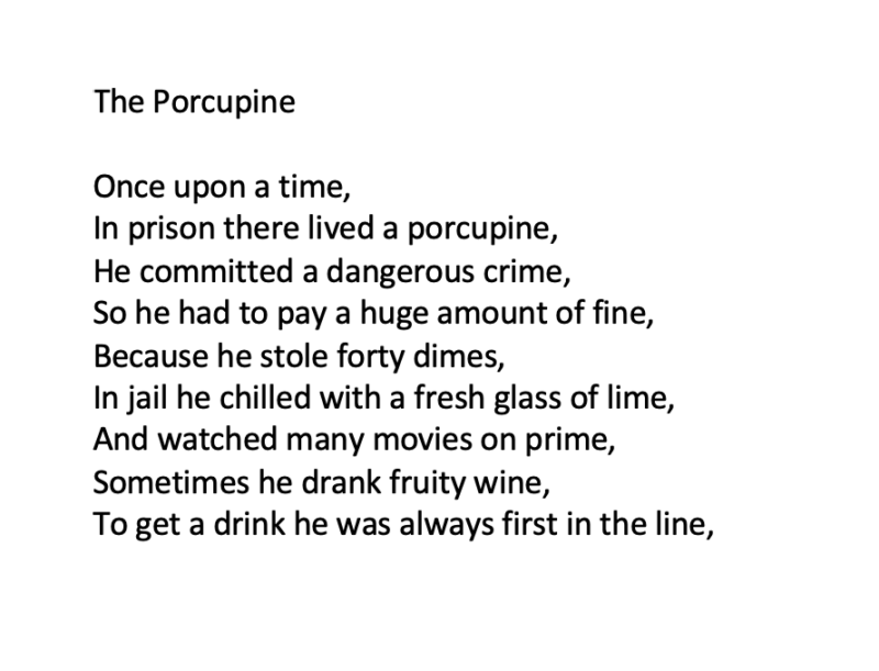 The Porcupine