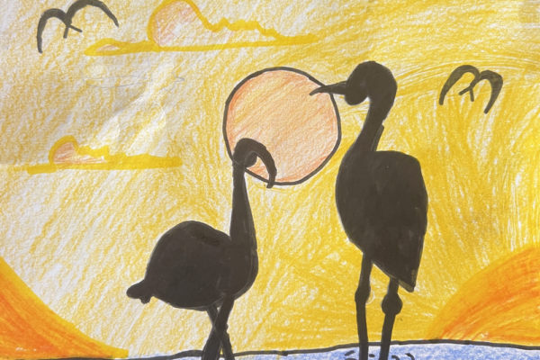 Flamingos at Sunset Point