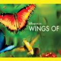 Wings of Life - Best Films for Children