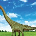 World’s Largest Dinosaur Displayed 