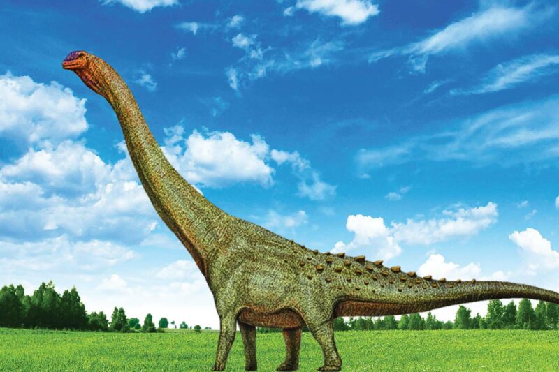 World’s Largest Dinosaur Displayed 