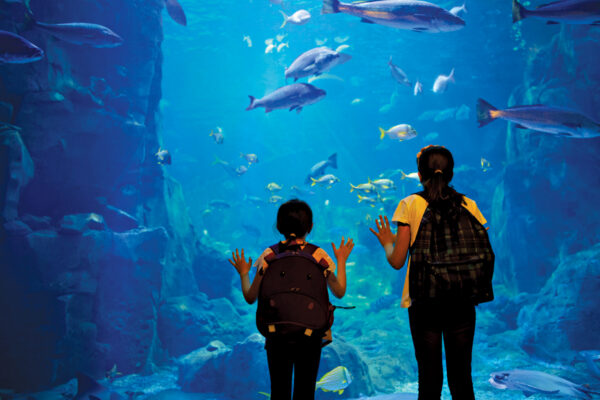 Hyderabad’s Underwater Tunnel Aquarium 