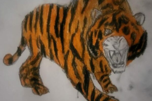 One Eyed Tiger