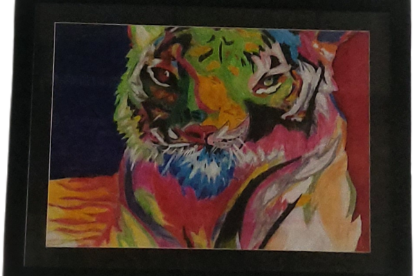 Colorful Tiger