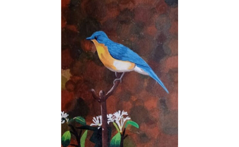 Bird