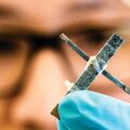World’s First Wooden Transistor Developed - News for Kids