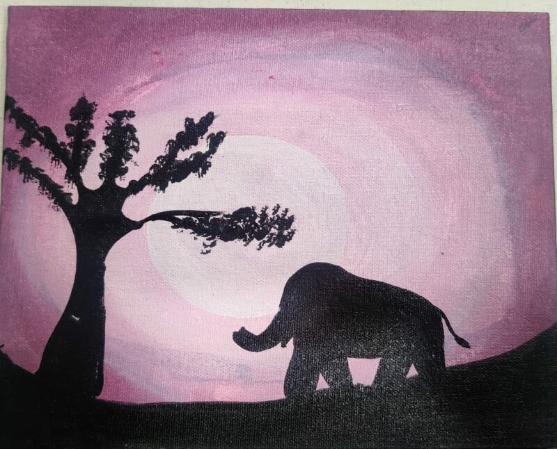 My Little Elephant