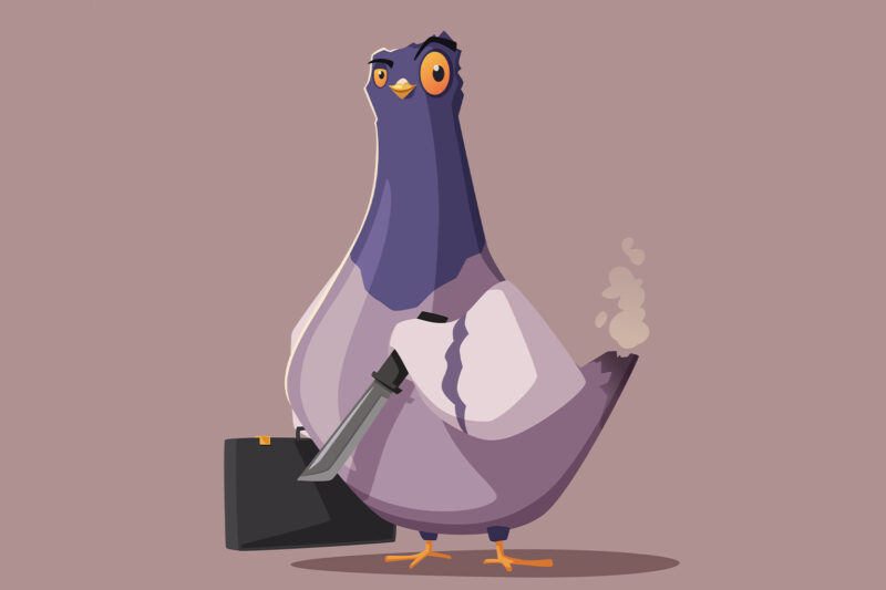 The Upset Pigeon