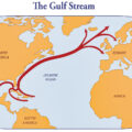 Collapse of the Gulf Stream System