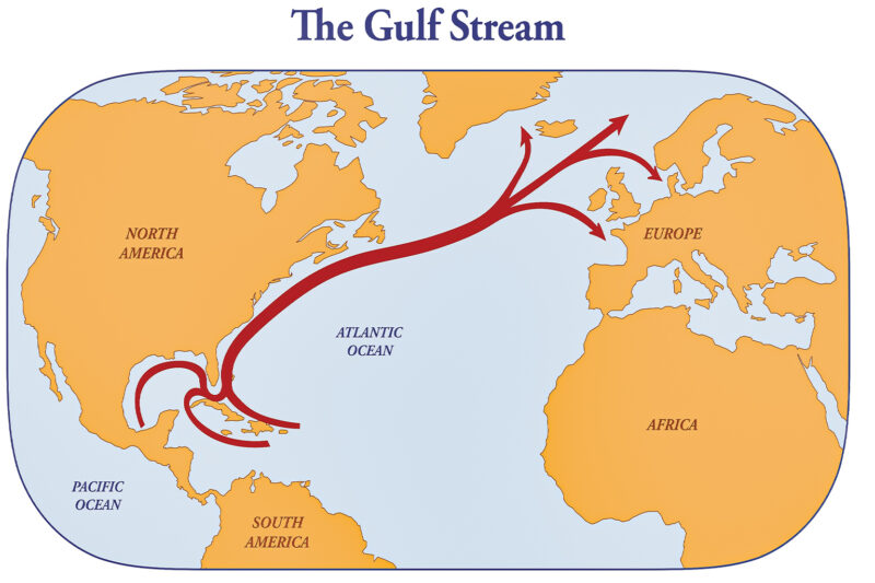 Collapse of the Gulf Stream System