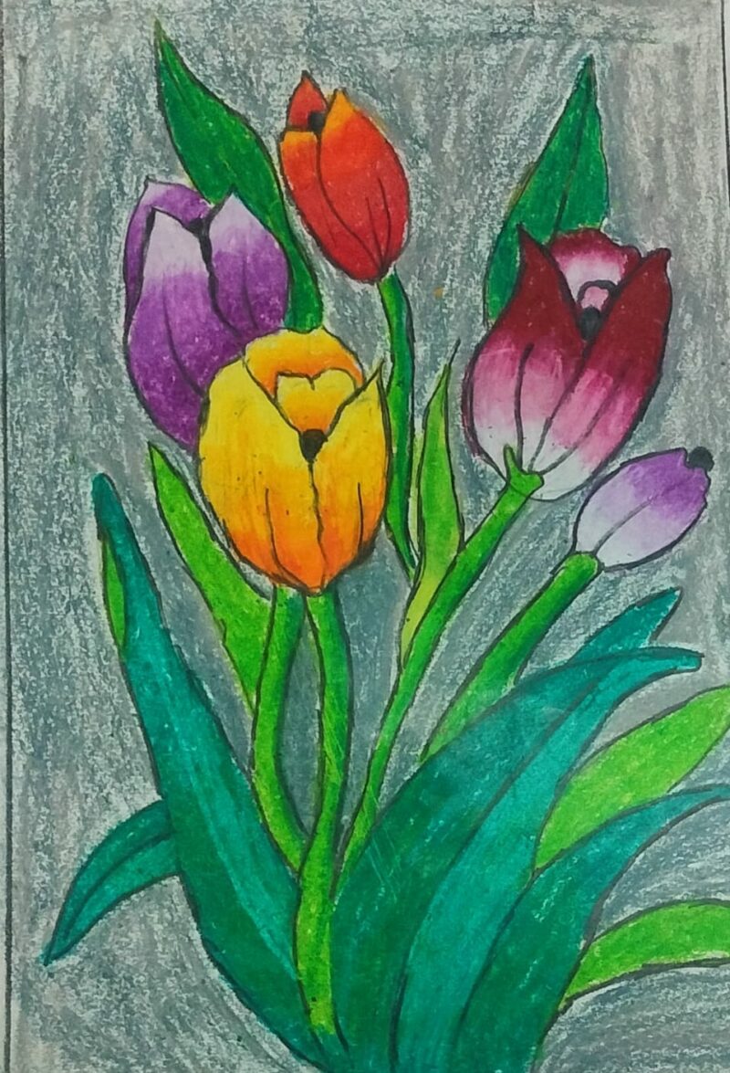 Colorful Tulips