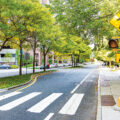 Smart Pedestrian Crossing System - Science News for Kids