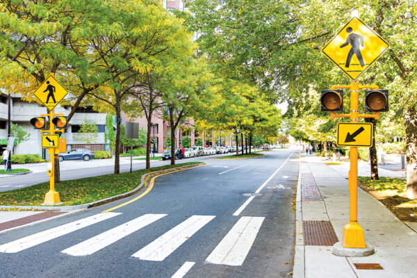 Smart Pedestrian Crossing System
