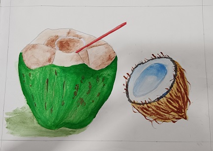 Still Life of Coconut