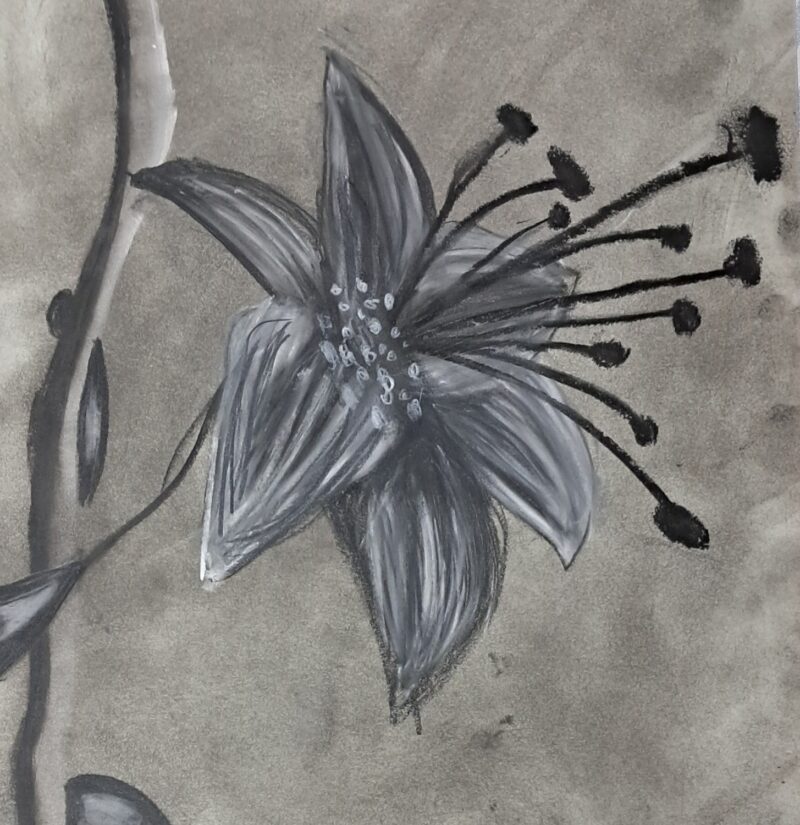 Black and White Beauty of Flower