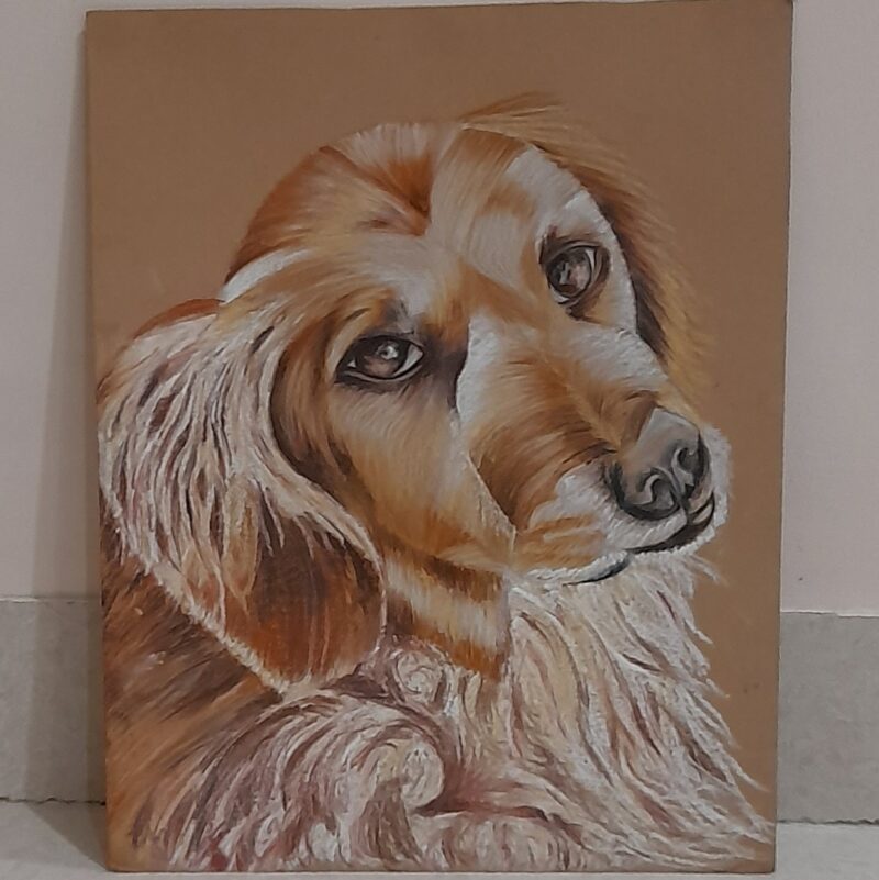 Pencil Colour Dog