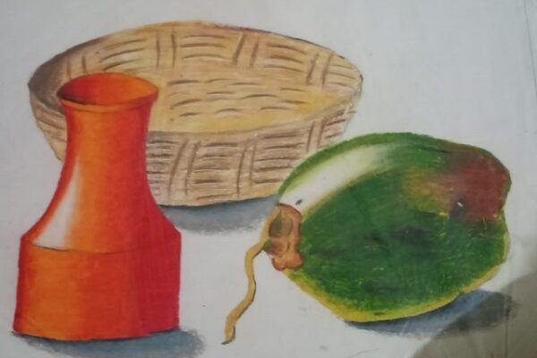 Still Life Coconut