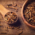Insect Protein Enhances Health - News for Kids