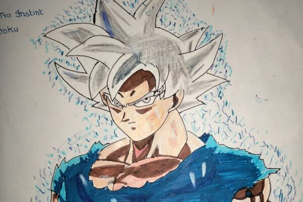 Ultra Instinct Goku