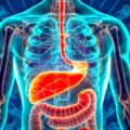 How Does Digestion Occur in Humans? 