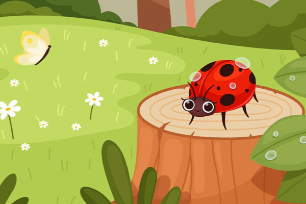 The Black Spotted Bug – The Ladybug