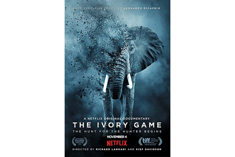 The Ivory Game