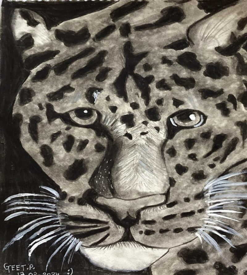 Leopard is Looking at You!