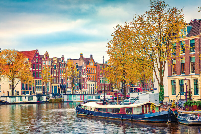 Amsterdam Backs Plant Based Treaty 