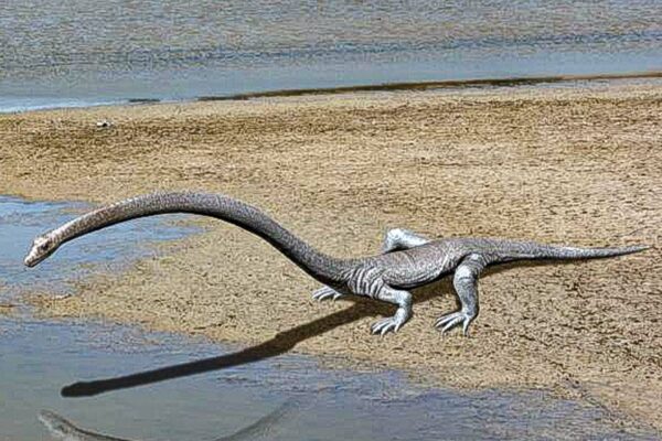 Fossil of Dragon-like Creature Found 