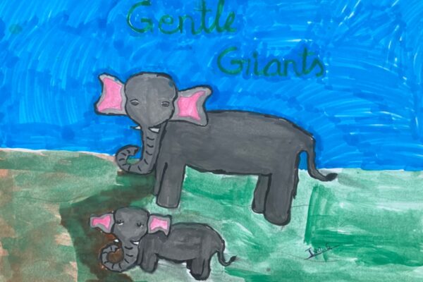 Gentle Giants