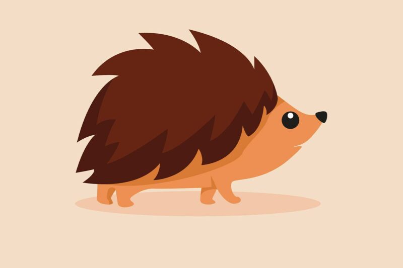 The Porcupine