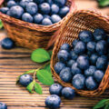 The Colour of Blueberries - News for Kids