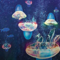 Biohybrid Robotic Jellyfish Created 