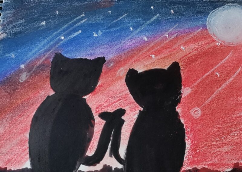 Cats in a Meteor Shower