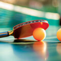 India’s Table Tennis Team Qualifies 
