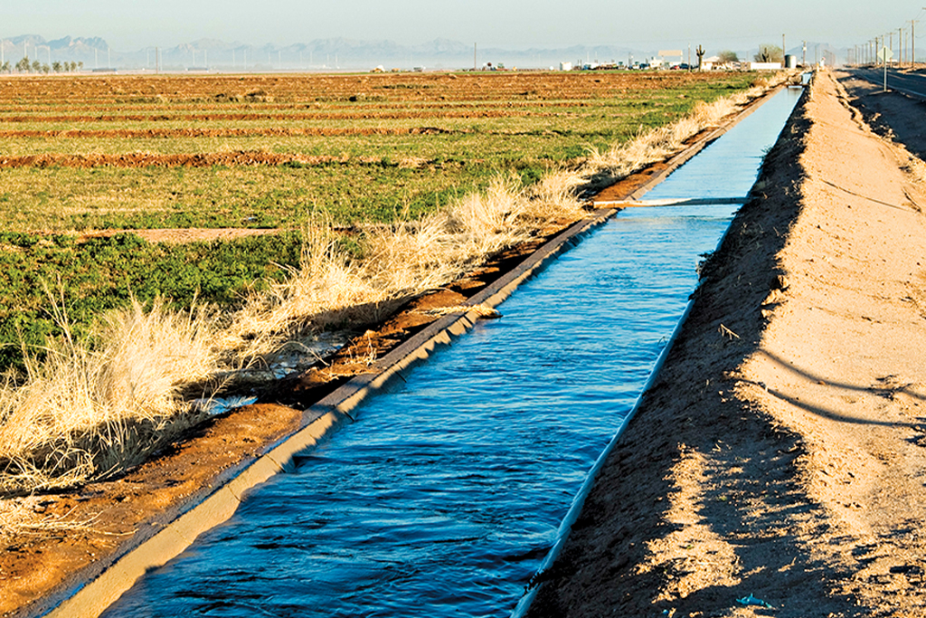 The Affluent Economy of Ancient Mesopotamia