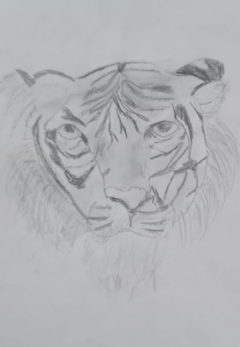 The Silent Tiger