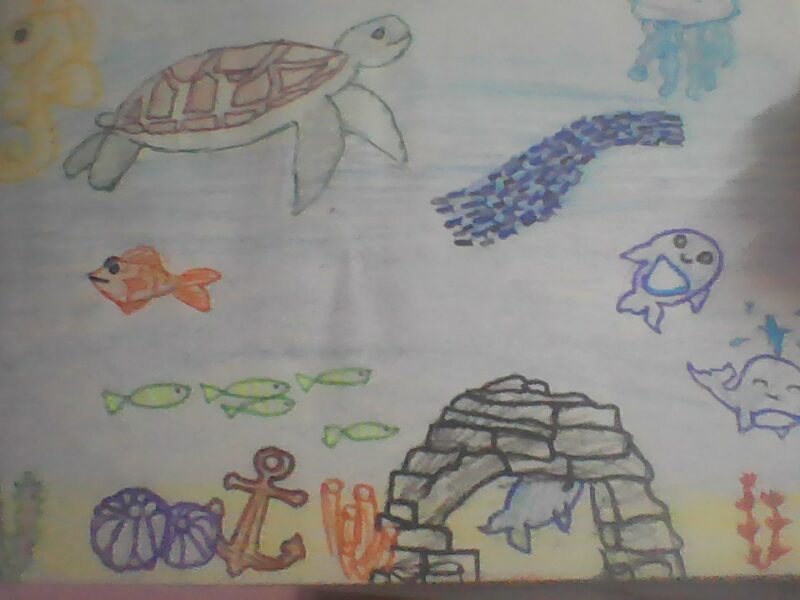 Sea Creatures
