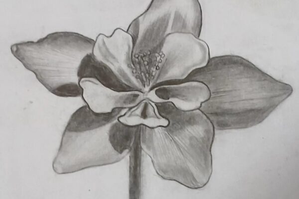 3D Flower