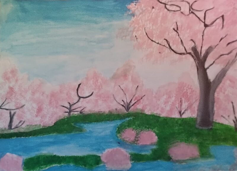 Beauty of Cherry Blossom