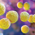 Bacterial Infection Spreads in Japan - News for Kids