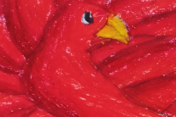 Fire Bird