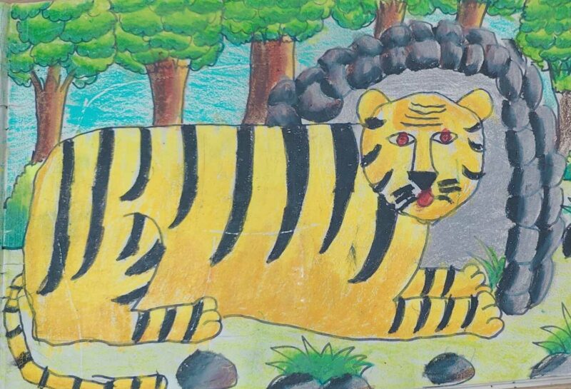 TIGER