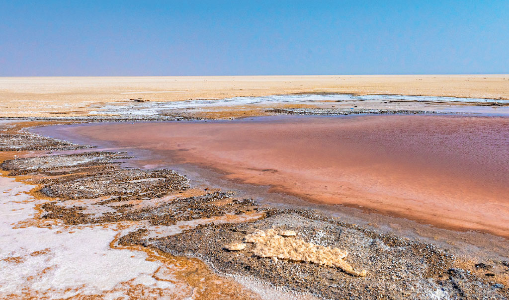 Habitats of India - The Largest Salt Desert in the World