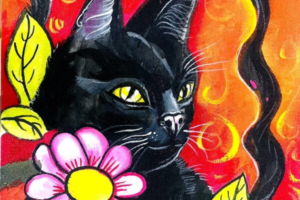 Beautiful Cat