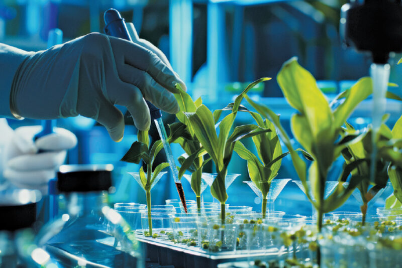 India’s BioE3 Policy RobinAge