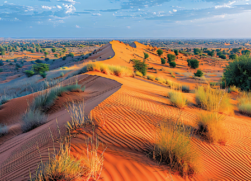 Shifting Sands of Gold