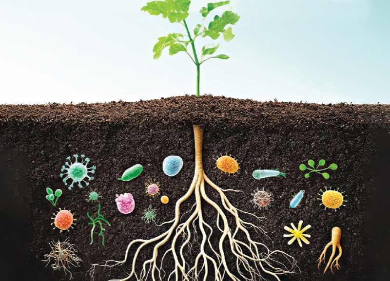 It’s Mother Earth, Not Dirt