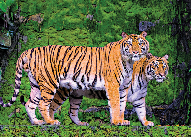 Habitats of India - A Manmade Habitat