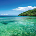 Earth’s Green Oceans